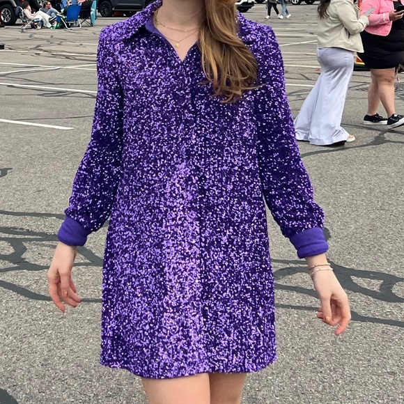 Speak Now Purple Sequin Dress - Perfect for Eras Tour! - Picture 5 of 5